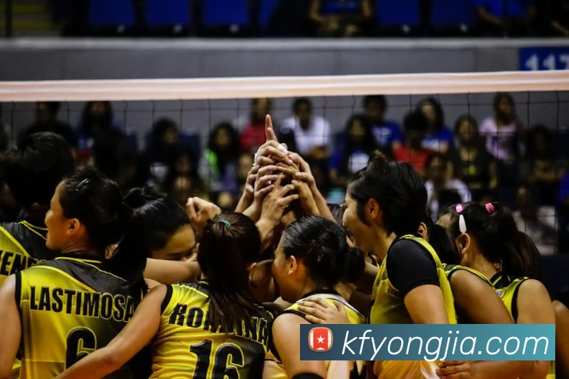 hth华体网页版登录入口品牌故事